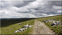 NY7036 : Pennine Way looking east by Trevor Littlewood