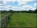 Footpath in a field near Bradnop