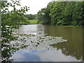 The lake at Dinton