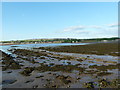 NU0052 : Rocky foreshore southwest of the Pier, Berwick-Upon-Tweed by Alexander P Kapp