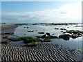 NU0052 : Rocky foreshore north of the Pier, Berwick-Upon-Tweed by Alexander P Kapp