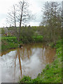 The River Rea near Newnham Bridge, Worcestershire