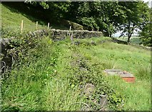 SD9923 : Raised footpath near Rudd Clough Farm by Humphrey Bolton