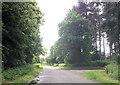 Track off Rasen Road near Walesby Grange