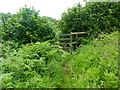 Footpath stile near Coedkernew