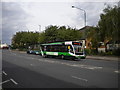 Bus near the bottom of Carlton Road