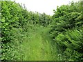 Llwybr cyhoeddus Maesteg public footpath