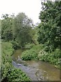 The River Ebble at Coombe Bissett (2): the view upstream