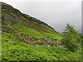 At the foot at Craig Blaenrhondda