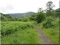 Former railway line near Blaencwm