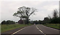 Riby road approaching Stallingborough roundabout