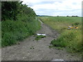 Footpath and rubbish