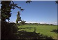 Grass field by the A3052