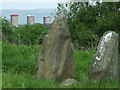 NS5966 : Sighthill Park stone circle by Thomas Nugent
