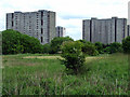 Sighthill Park