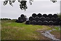 North Devon : Hay Bales