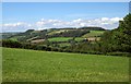 View from Cottshayne Hill