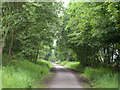 Consett and Sunderland Railway Path