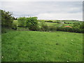 Footpath  over  field  to  Raw  Lane