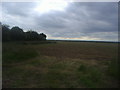 Field by Brook farm, Dengie Marsh