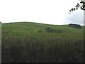 Grazing lands on Wolflee Hill