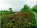 Pond being dug at Cleaves Farm