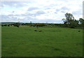 Farmland near Ulgham Grange