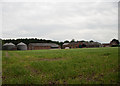 View across pea field to Welton Wold Farm