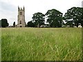 Titchmarsh: tower and trees