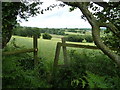 Footpath north of Handley