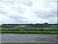 Farmland south of the A64