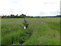 Unnamed stream near Ruddington 