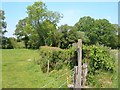 Footpath to Frog Mill