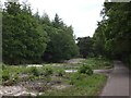 Bridleway to Green Hill in Puddletown Forest