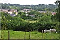 Mid Devon : Grassy Field & Horses