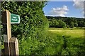 Mid Devon : Grassy Field & Footpath