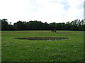 Pasture near Redenham House