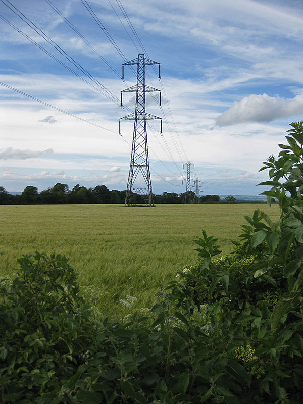 Power Line Crossing A Barley Field © Pauline E Geograph Britain And Ireland 3538