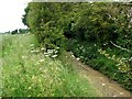 Lowick: footpath and former ironstone railway cutting