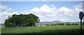 View of Terry Chapel copse in summer