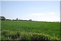 Farmland, Little Murston