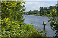 The Manchester Ship Canal from Wigg Island