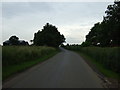 Road heading south near Tudor Lodge