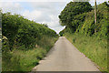 SX1358 : Cornish lane with summer flowers by roger geach