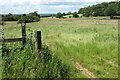 Footpath across the field to Back Wood