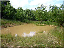 TQ5291 : Muddy pond, Bedfords Park by Robin Webster