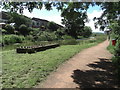 Grand Western Canal & Tow Path