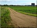 Farm track near Chettisham, Ely