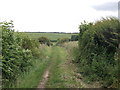 Footpath to Sharstead Farm