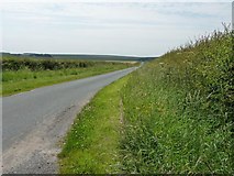 TA1471 : Grindale Road, National Cycle Route No. 1 by Christine Johnstone